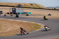 anglesey-no-limits-trackday;anglesey-photographs;anglesey-trackday-photographs;enduro-digital-images;event-digital-images;eventdigitalimages;no-limits-trackdays;peter-wileman-photography;racing-digital-images;trac-mon;trackday-digital-images;trackday-photos;ty-croes